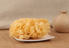 白木耳从哪里长出来的 白木耳的生长