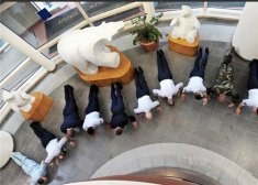 教你锻炼胸肌的最快方法