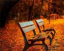 寒露节气养生 寒露警惕四种疾病染身