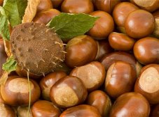 怀孕不能吃什么 吃这9种食物小心流产