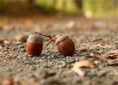 火锅汤不要喝  秋冬吃火锅10大注意事项