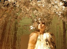 柿子有哪些养生功效