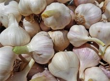 户外旅游 蒜的作用很大