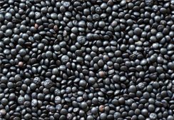 白发偏方:治疗少年白发偏方