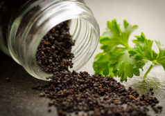 治疗白发 黑芝麻效果好