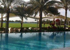 夏季游泳的几种姿势 让你畅游一夏