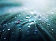 雨水节气养生 吃这些最养生