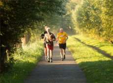 打太极拳不宜用音乐伴奏