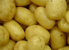 土豆泥该怎么做