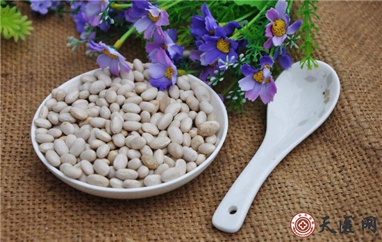 白豆的功效与作用是什么？白豆的吃法有哪些？